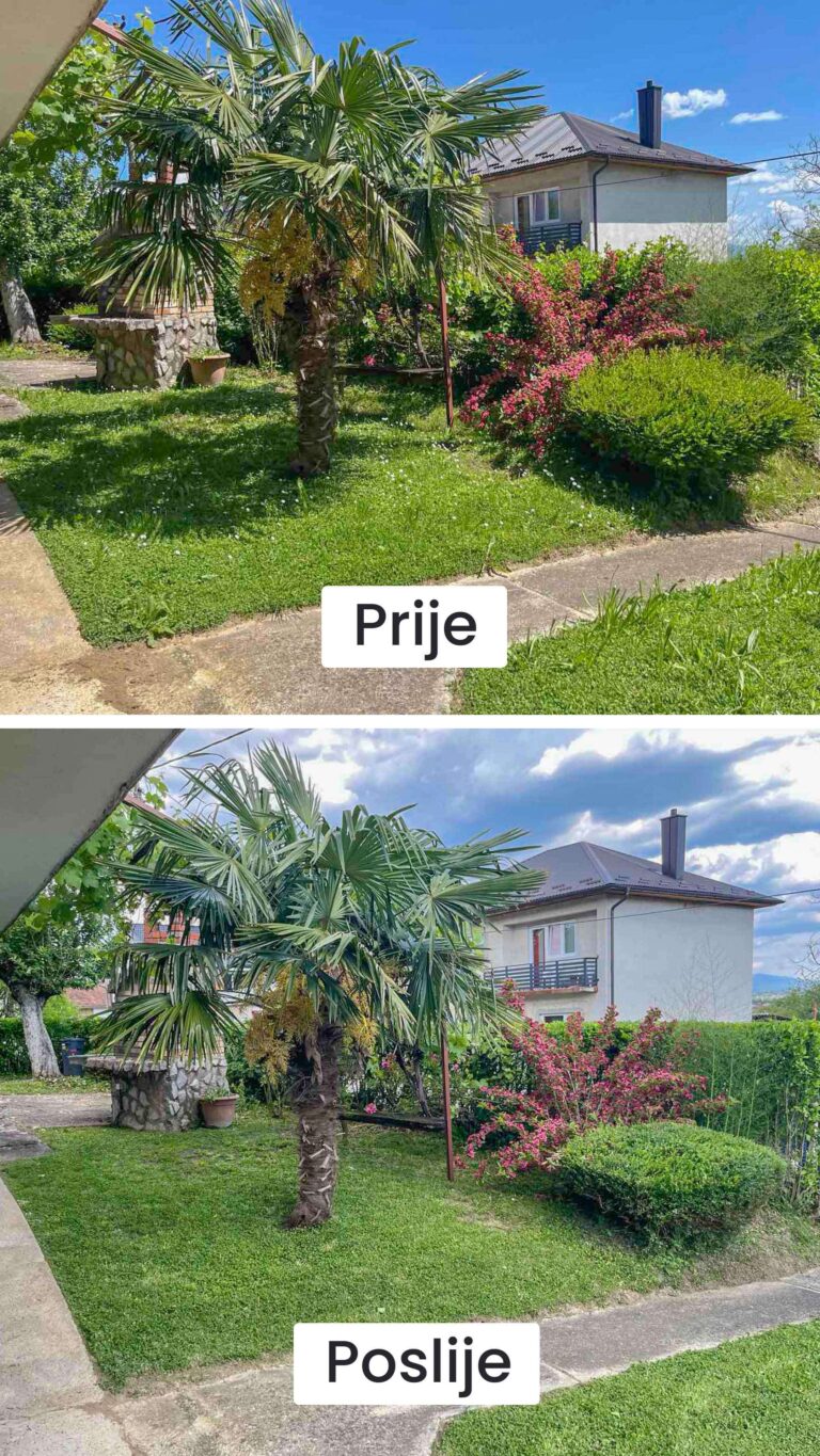 Uređenje žive ograde i košnja